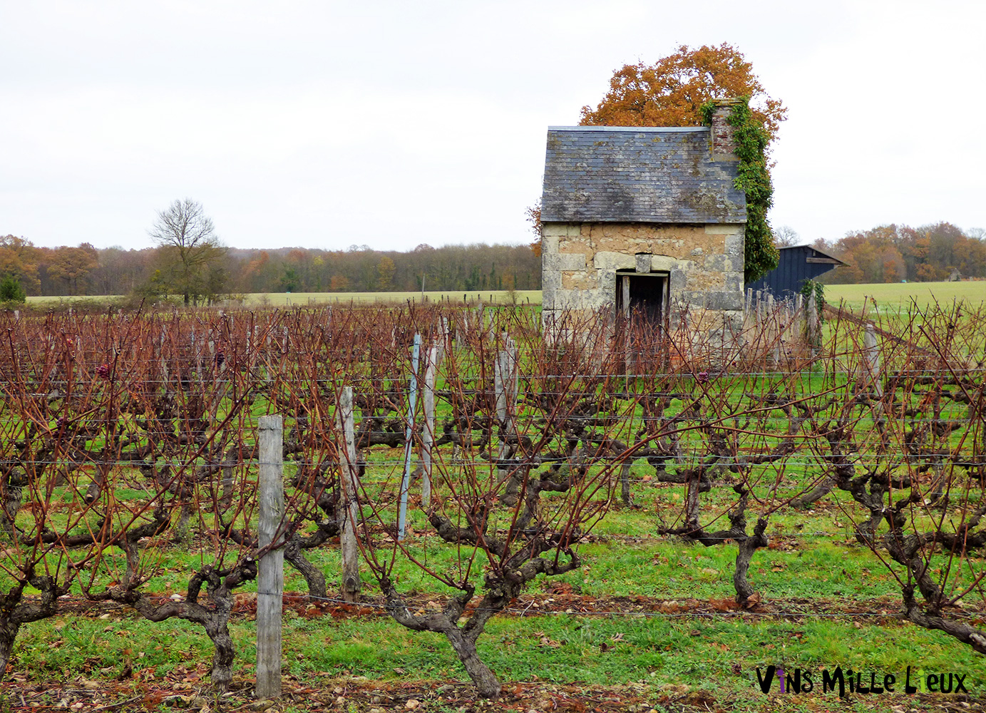 Loge de vigne en Sarthe